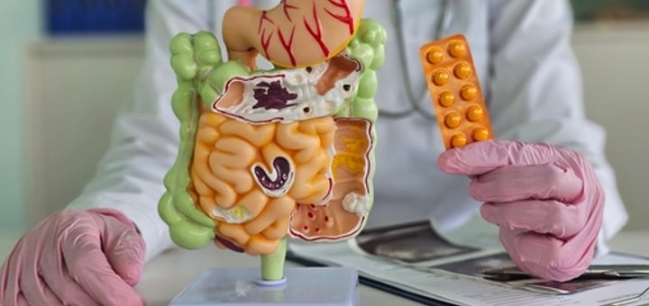 גסטרואנטרולוגיה