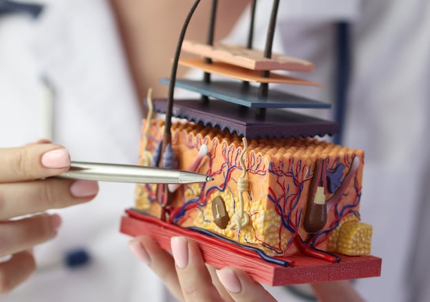 השירות למחלות עור דלקתיות