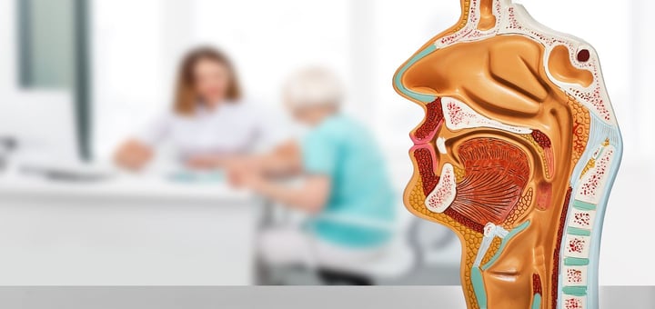 מרפאת טראומה - חבלות פה, פנים ולסתות הדסה עין כרם