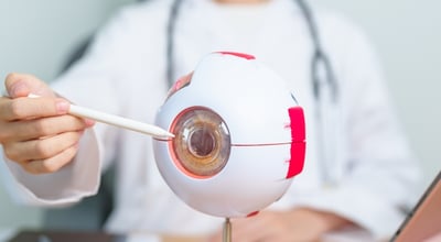 ניוון רשתית