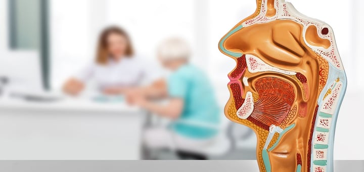 יחידת האשפוז מחלקת פה ולסתות הדסה עין כרם