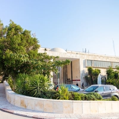 הדסה הר הצופים