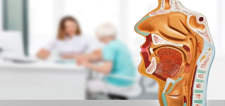 מרפאת ילדים ומומים וסקולריים הדסה עין כרם