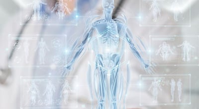 מערך אורתופדיה