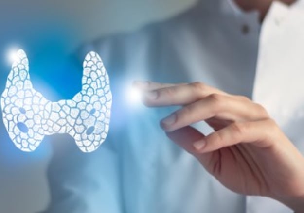 מעבדת פרמקולוגיה, אנדוקרינולוגיה, אימונולוגיה, נוירואימונולוגית ואלרגיה