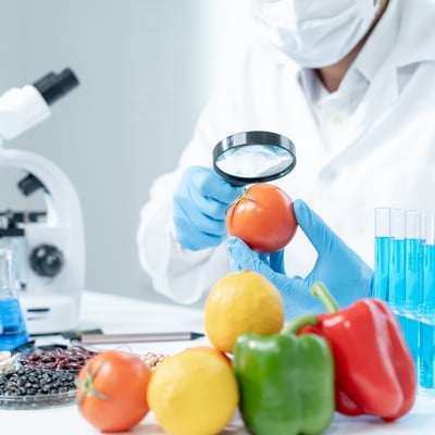 הדרכה לפני בדיקת תגרי מזון