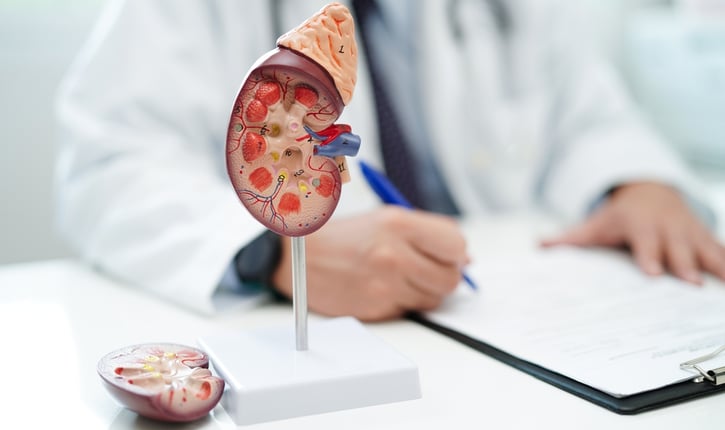 סרטן כליות - סימפטומים וטיפול