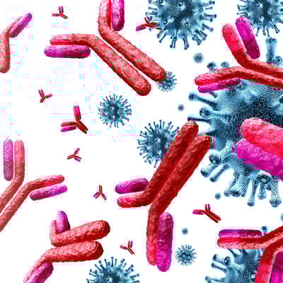 אימונולוגיה