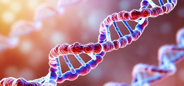 נשאיות BRCA בין מעקב רפואי לכריתה מפחיתת סיכון