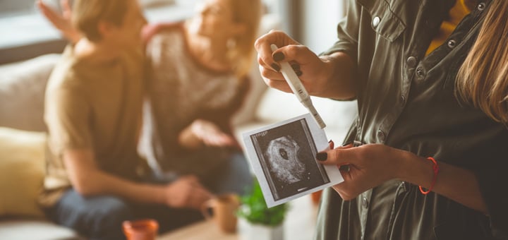הורות בפונדקאות