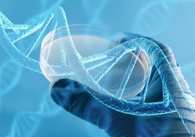 מחקרים קליניים