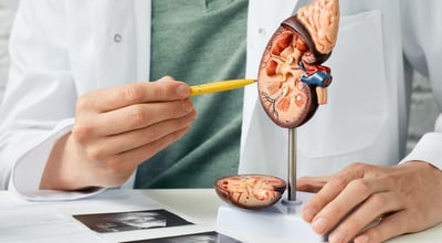 מחלקת נפרולוגיה ויתר לחץ דם הדסה עין כרם