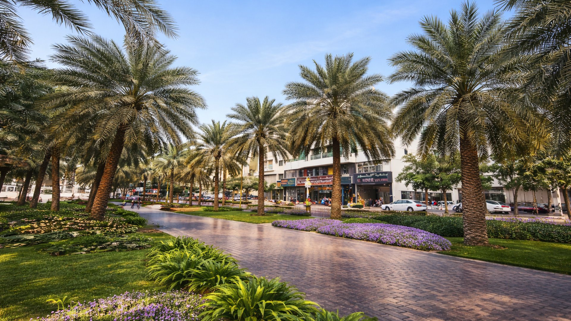 Al Muteena East，迪拜：城市型 · 住宅型区域环境