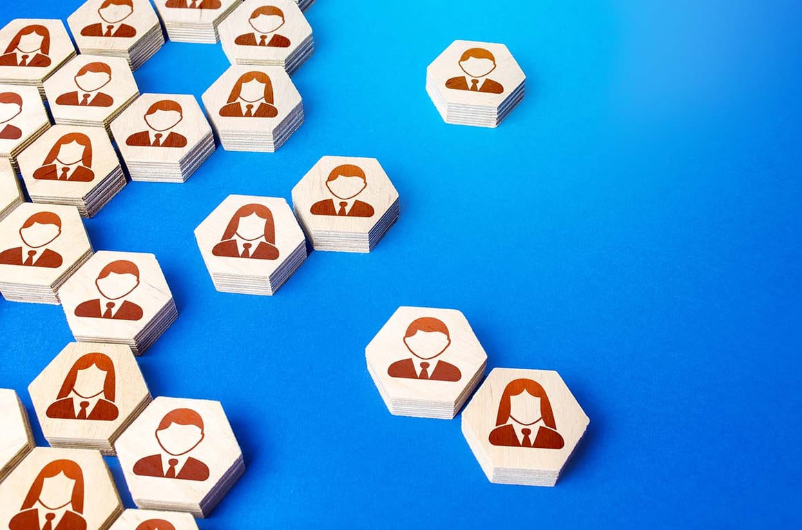 diverse organizations