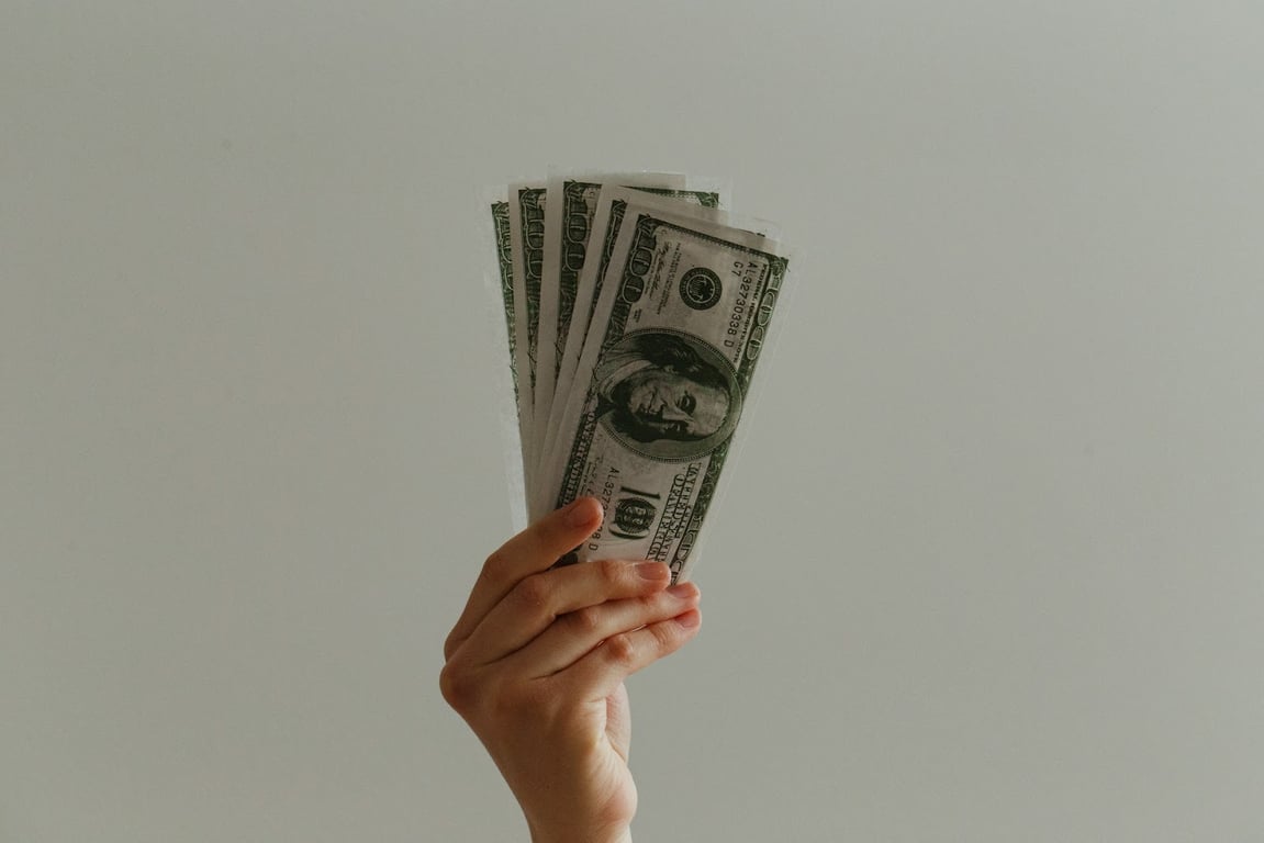 A hand holding up a wave of dollar bills