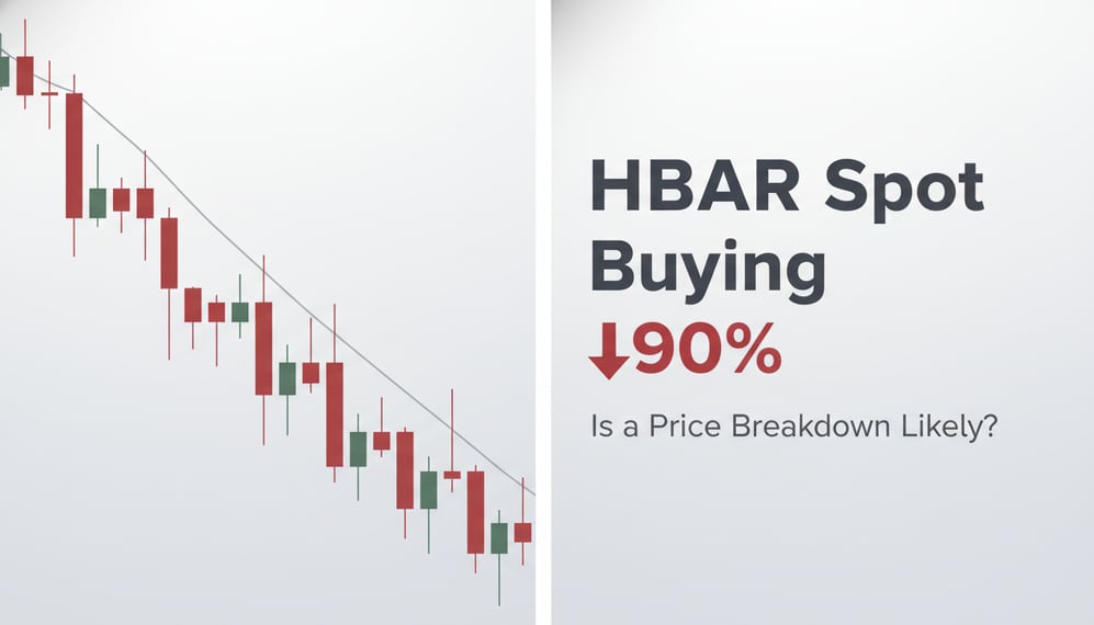 HBAR Spot Buying Drops 90% — Is a Price Breakdown Now Likely?