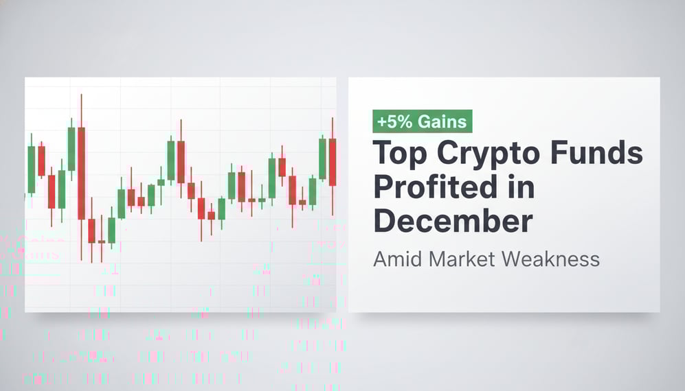 How Top Crypto Funds Profited in December Amid Market Weakness