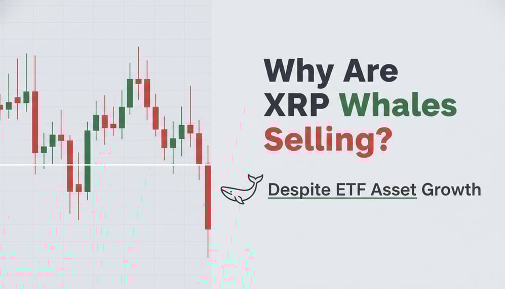 Why Are XRP Whales Selling Despite ETF Asset Growth?