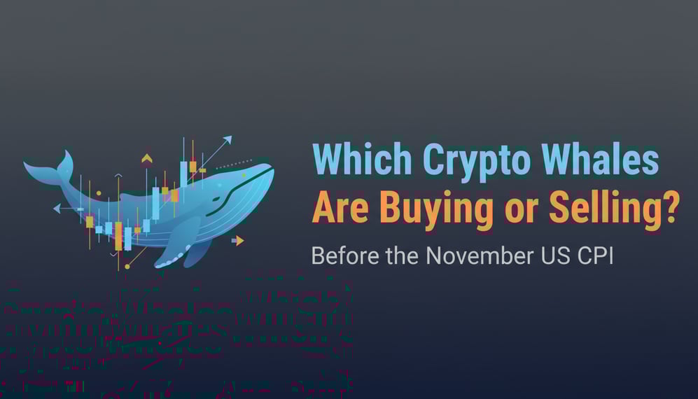Which Crypto Whales Are Buying or Selling Before the November US CPI?