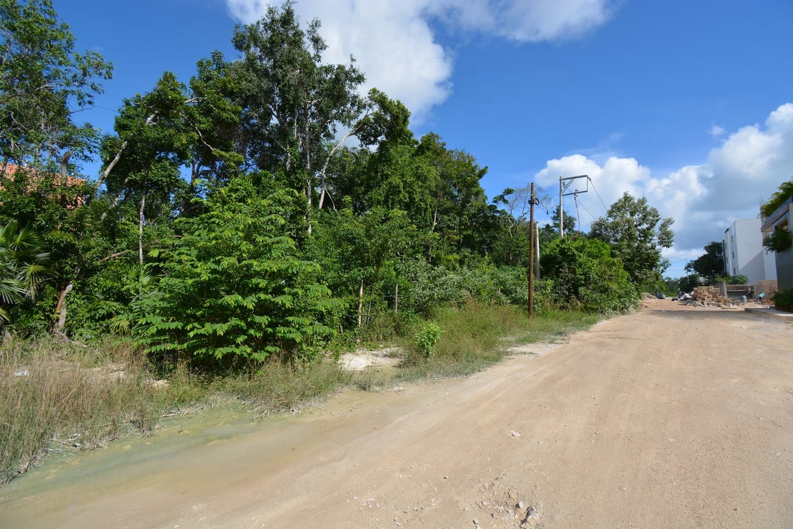 Region 15 Canvas: Prime Development Opportunity in Tulum's Most Promising District