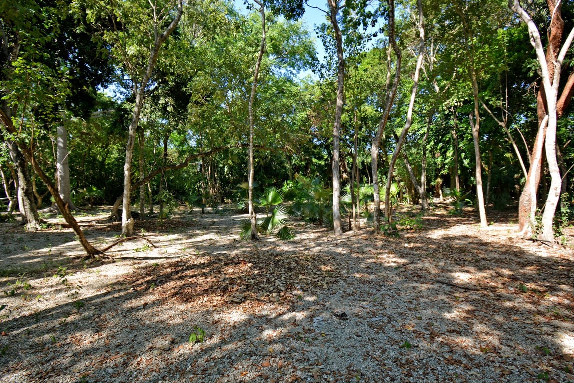 Club Real: Your Canvas for Luxury Living on the Golf Course