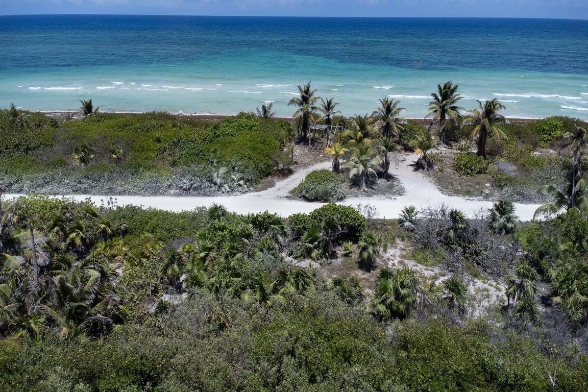 Costa Maya Canvas: Prime Beachfront Land in Mahahual's Pristine Paradise
