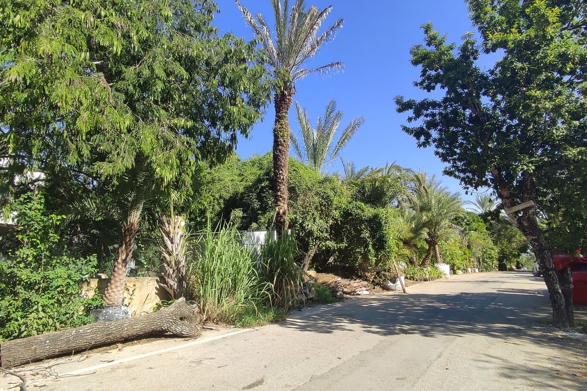 Centro Maya Canvas: Prime Development Land in Playa del Carmen's Growing District