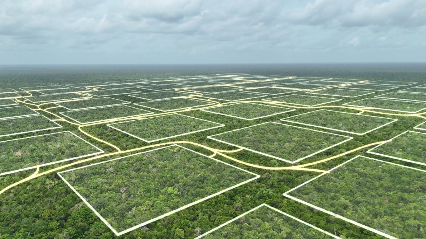 🌳 Own 1 Hectare (2,34 Acres) of Private Riviera Maya elevated Jungle Starting at $650,000 MXN (~$38,000 USD)! 🌿✨
