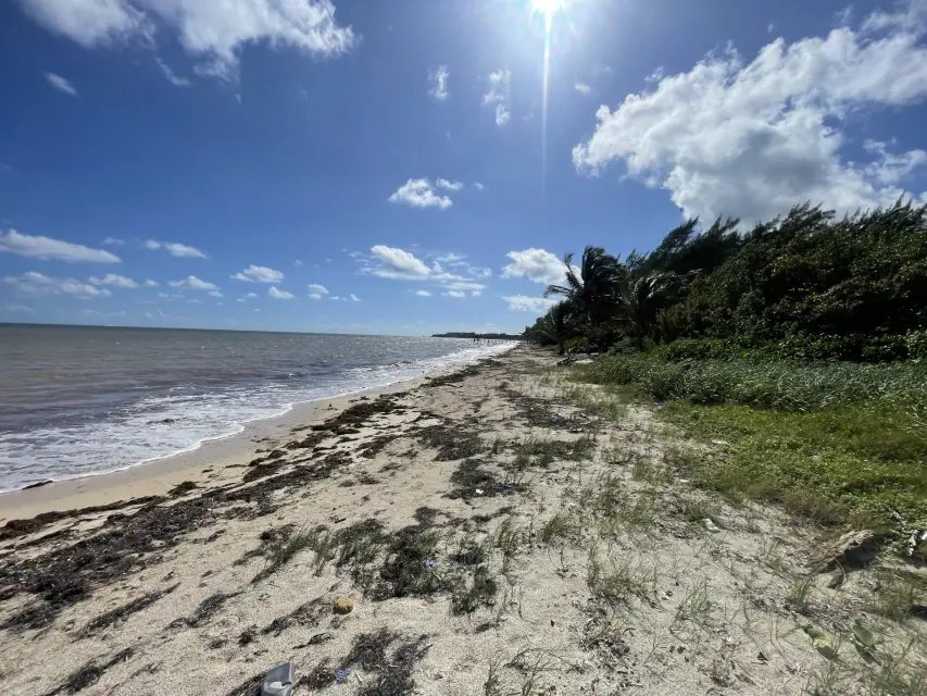 Rare Beachfront Parcel with 15-Meter Caribbean Frontage in Bahía Petempich