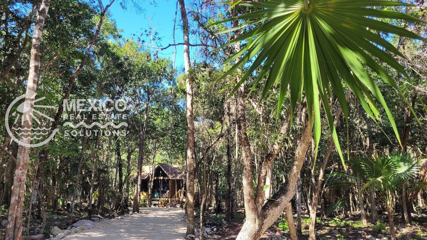 Jungle Cabin on Half an Acre, Minutes from Akumal