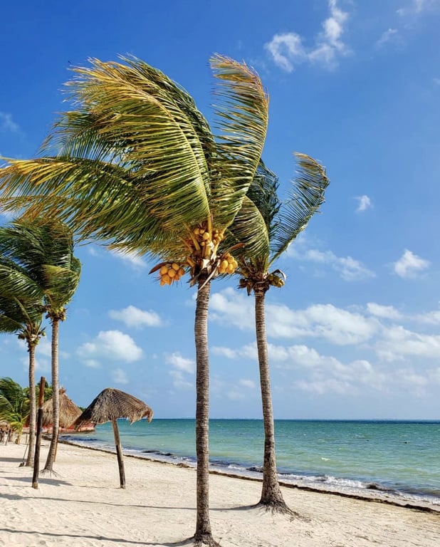 Beachfront HOME in Puerto Juarez 
