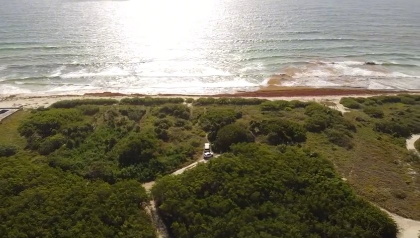 🏝️ Beachfront Land For Sale in Puerto Morelos 🏝️