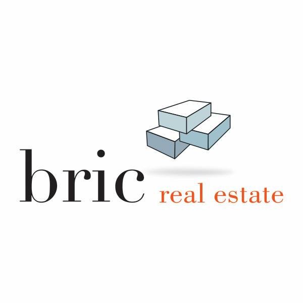 Bric Real Estate Playa logo