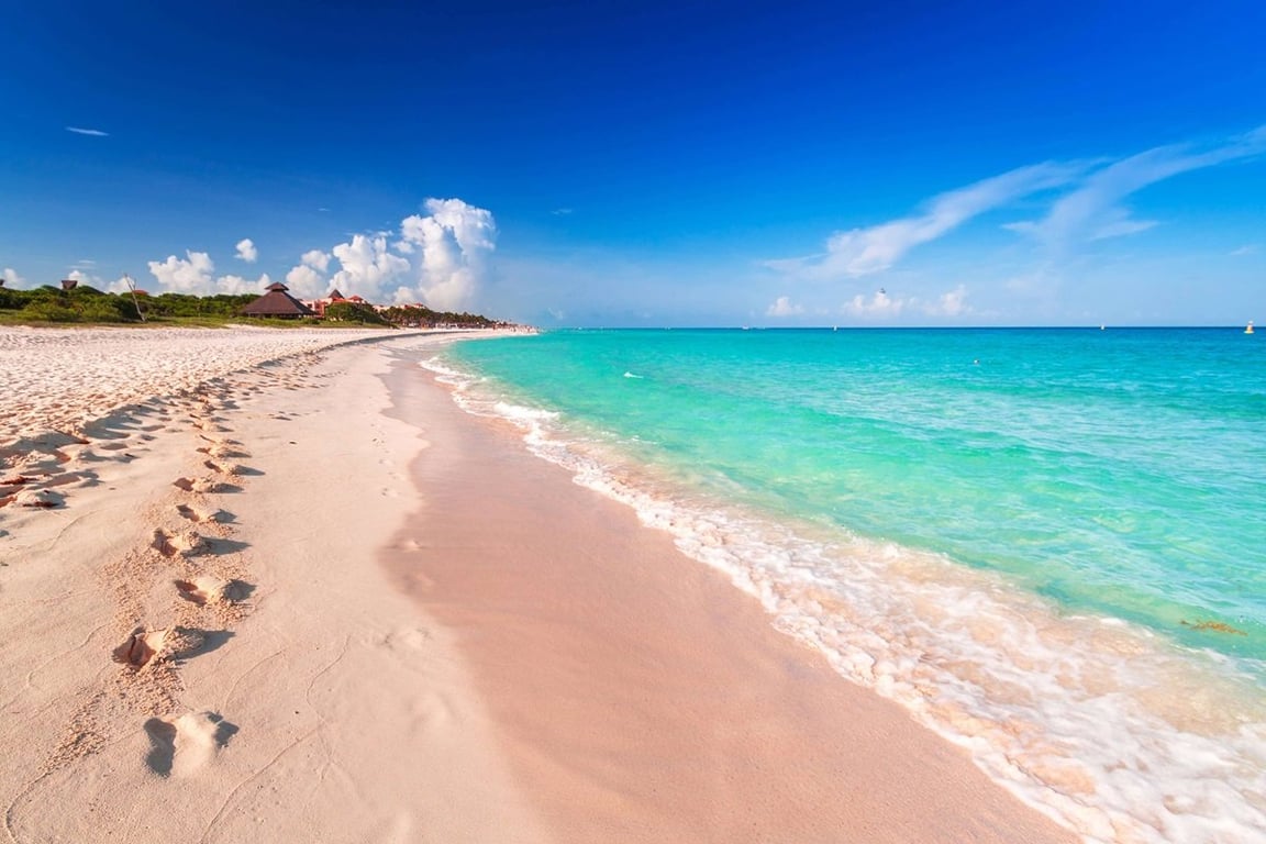 Riviera Maya Realtor