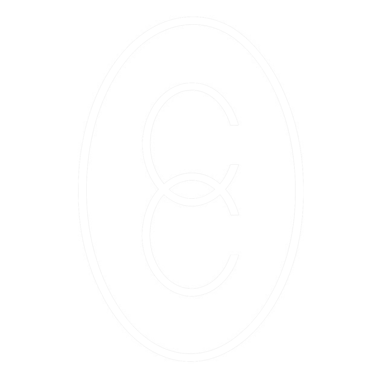 The Creative Collective Team