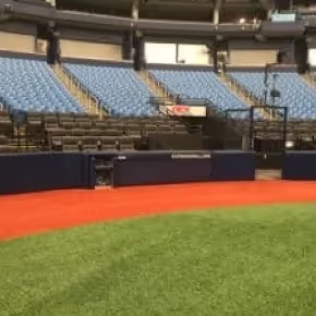 Tampa Bay Rays custom parabolic microphone enclosure at Tropicana Field