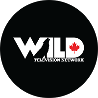 Wild TV