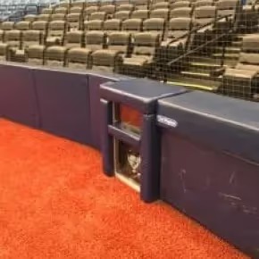 Tampa Bay Rays custom parabolic microphone enclosure at Tropicana Field
