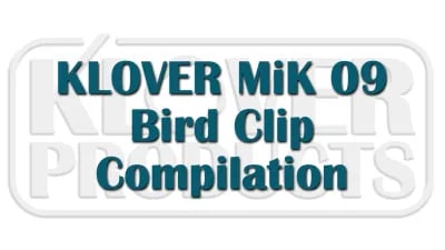 Bird Compilation