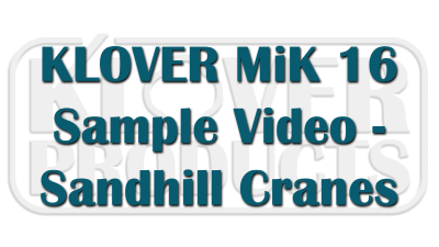 KM-16 Sample - Sandhill Cranes