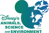 Disney AS&E