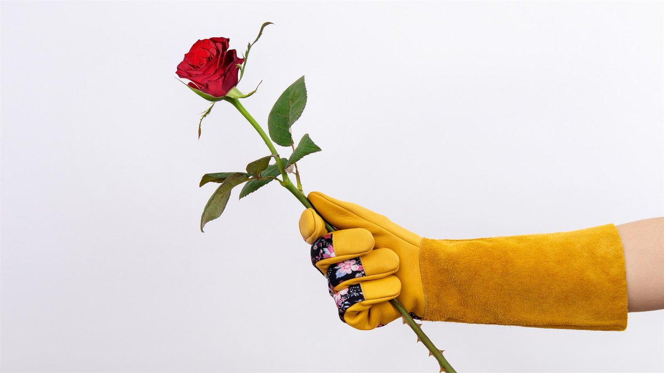 Seasonal Spotlight: Thorn Guard Rose Gauntlets cover