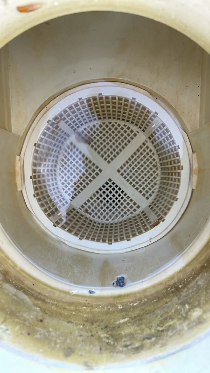 After: Skimmer basket cleaned and clear