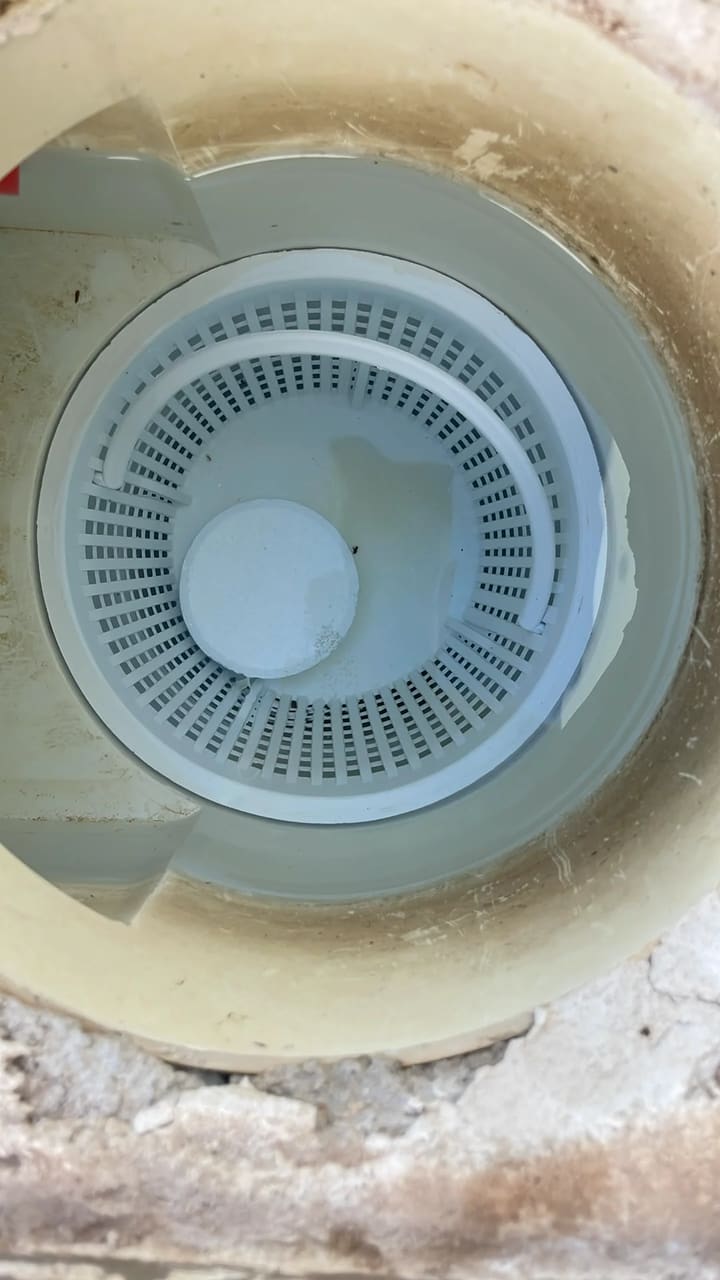 After: Skimmer basket cleaned and clear
