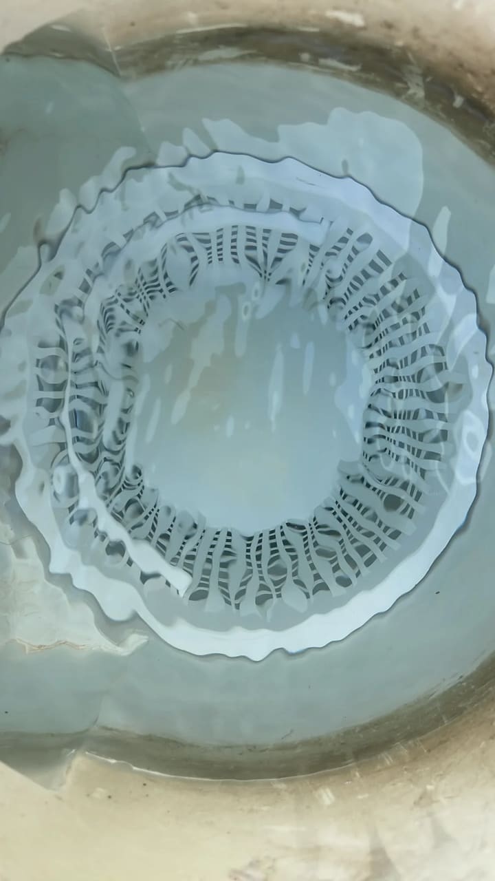 After: Skimmer basket cleaned and clear