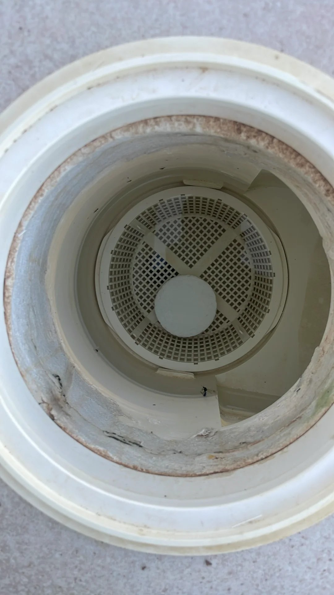 Skimmer basket cleaned and clear