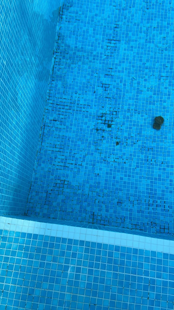 Before: Pool floor with scattered debris