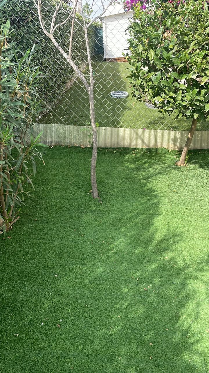 After: Artificial grass cleared of leaves and debris