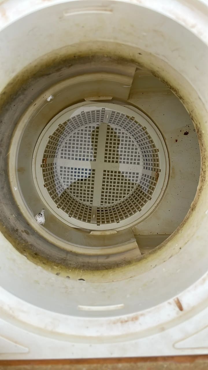 After: Skimmer basket cleaned and clear