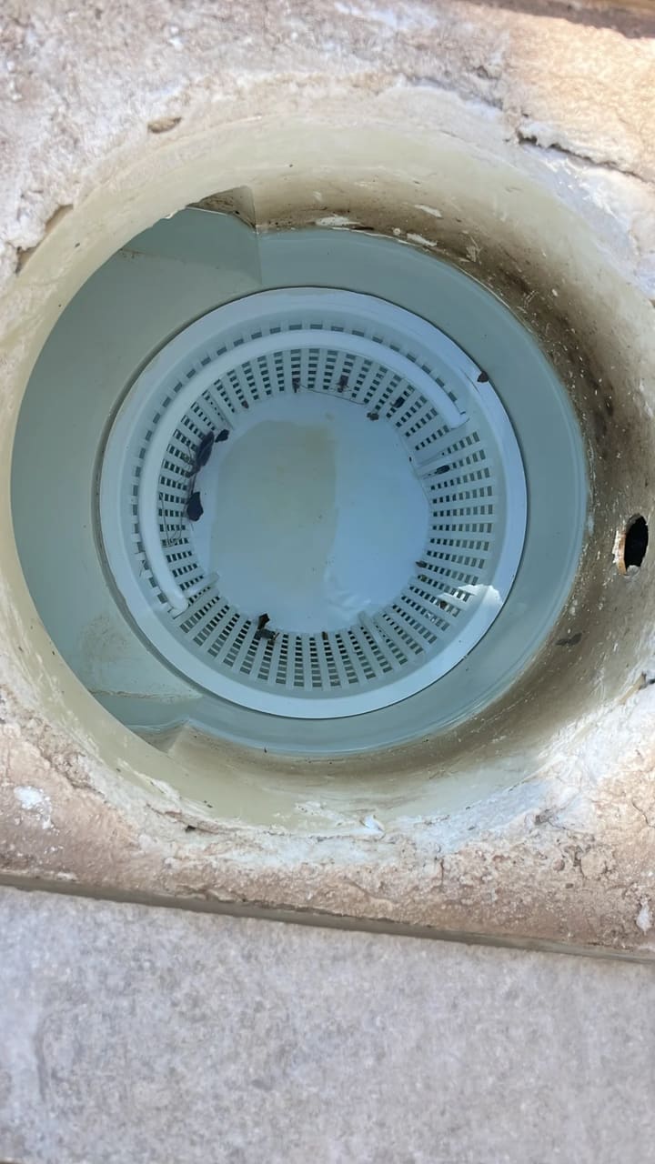 Before: Skimmer basket contained small debris